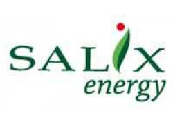 Salix energy
