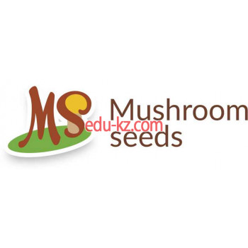 Mushroom Seeds