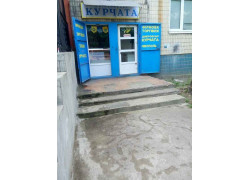 Курчата